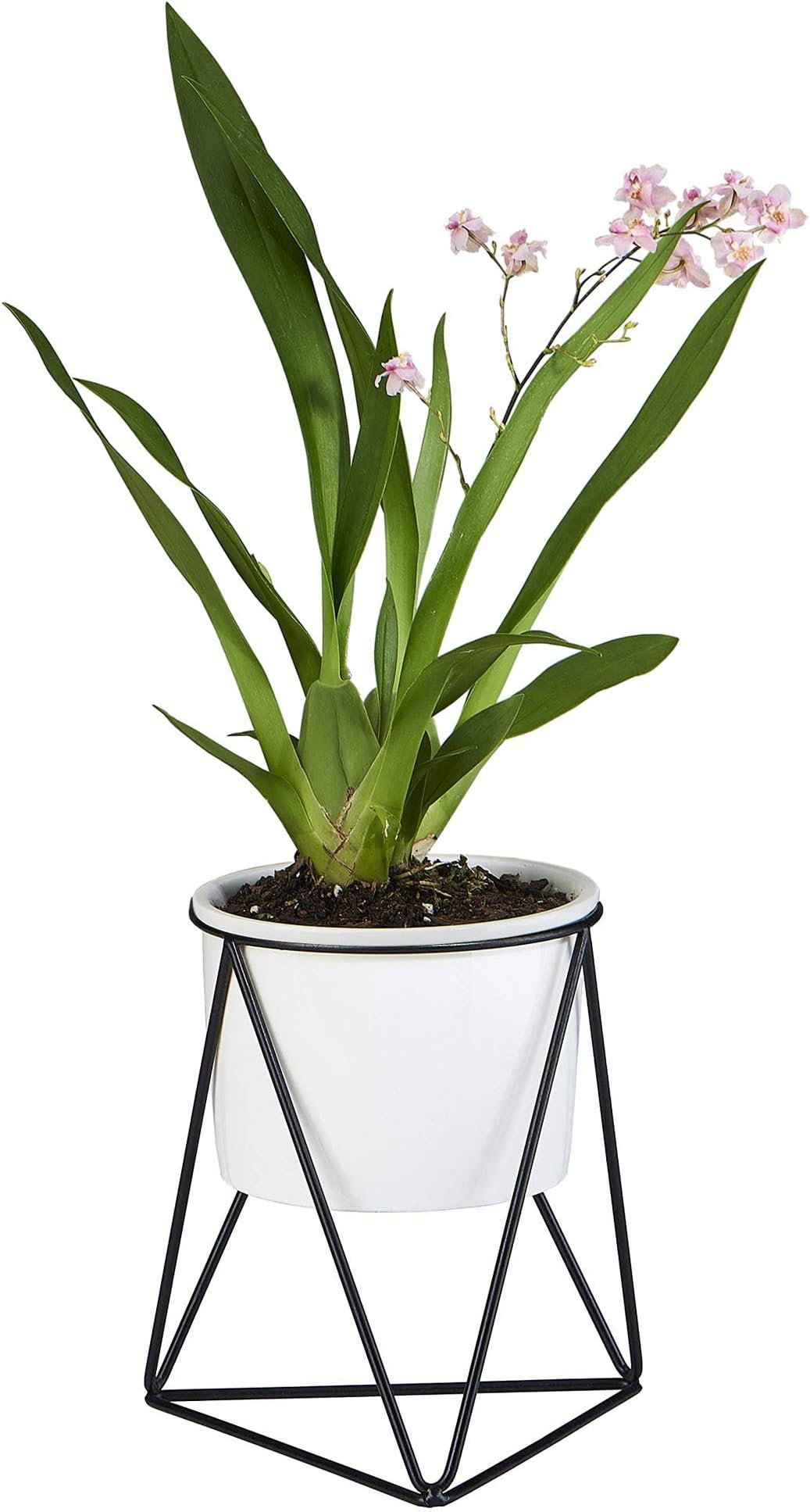 Planter Pot Indoor, Flowerplus 4.33 Inch White Ceramic Medium Succulent Cactus Flower Plant Round Bowl with Metal Stand Holder and Plants Sign for Indoors Outdoor Home Garden Kitchen Decor (Black)