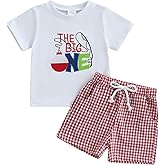 Eurvoku Baby Boy 1st Birthday Outfit One Embroidered Short Sleeve T-Shirt Top Plaid/Stripe Shorts Set Cake Smash Clothes