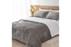 Seward Park Ultra Soft Sherpa Comforter Set Full Queen, Fall Winter All Season Down Alternative Bedding Sets Grey 3 Piece (1 Comforter and 2 Pillow Shams)