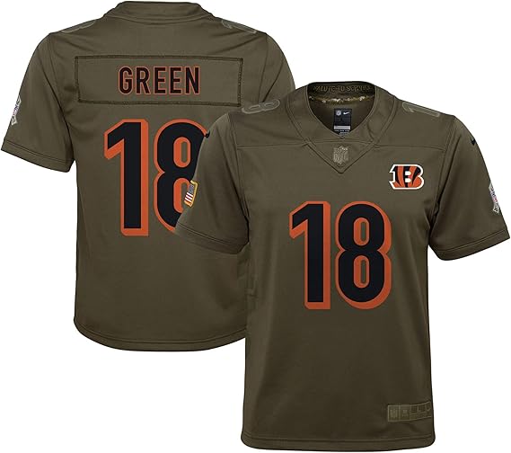 aj green salute to service jersey