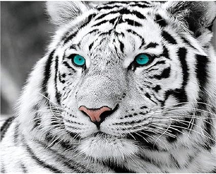 Wzzpsd Puzzle 1000 Piece Tete De Tigre Aux Yeux Bleus Animal Modern Art Diy Puzzle En Bois Unique Cadeau Decor A La Maison Sty Amazon Fr Cuisine Maison