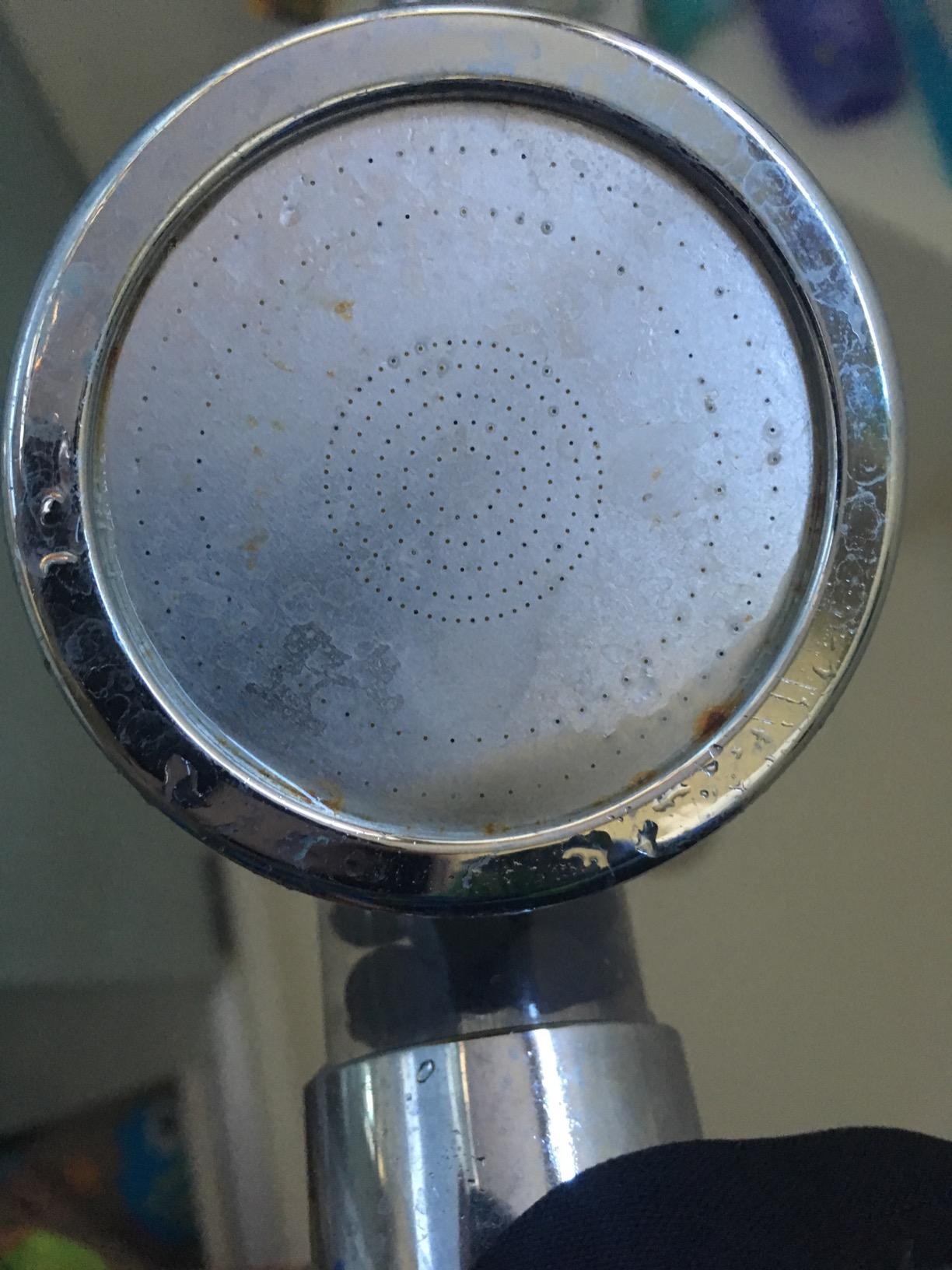 9/mo Finance PureAction Vitamin C Shower Head Filter with Hose