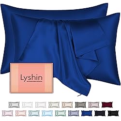Mulberry Silk Pillow Cases 2 Pack Standard Size