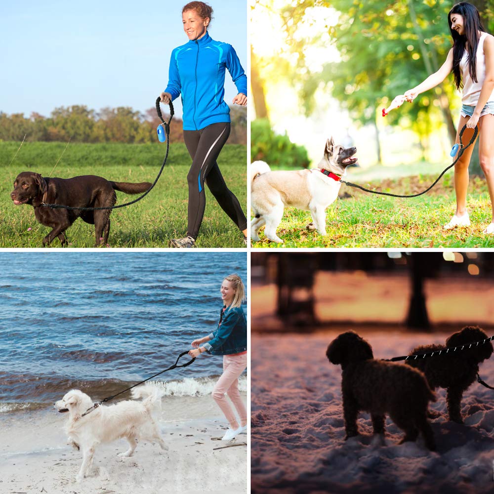 Keenstone Heavy Duty Dog Leash, 4 FT Long Nylon Tape Dog Walking Leash with Comfortable Padded Handle and Highly Reflective Threads for Medium and Large Dogs, Dog Waste Dispenser and Bags Included