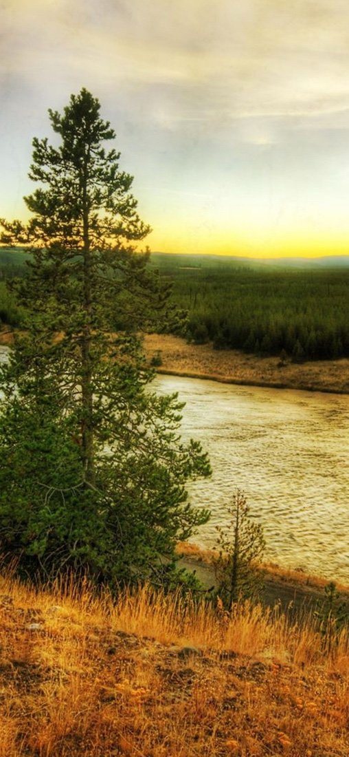 PeelitStickit, Beautiful Nature Wall Murals, ID-0848, vinyl