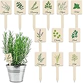 UPINS 24Pcs Acrylic Plant Labels Herb Plant Markers Plant Tags Signs with Printed Name for Indoor Outdoor Gardens Herbs Seedlings Plants