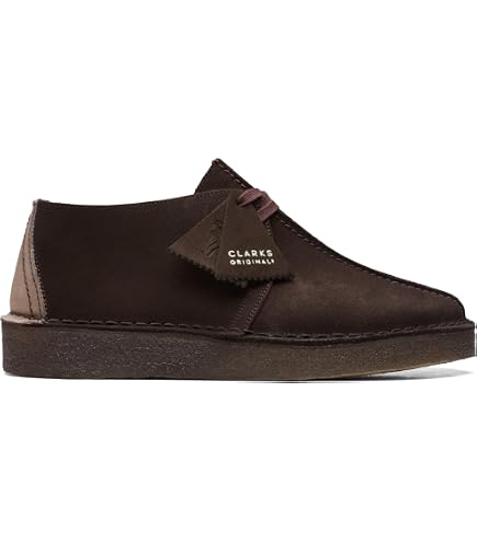 Amazon.com | Clarks Men's Desert Trek GTX Shoes