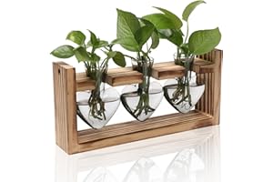 MTSIGNS Plant Terrarium Propagation Stations Hydroponics Home Garden Decoration Gift for Women with Wooden Stand Heart Shaped Colored Glass Vase