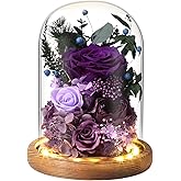 Laladeyek Preserved Deep Purple Rose in Glass Dome - Lasting Floral Gift for Women, Perfect for Birthdays, Mother's Day & Friend Celebrations