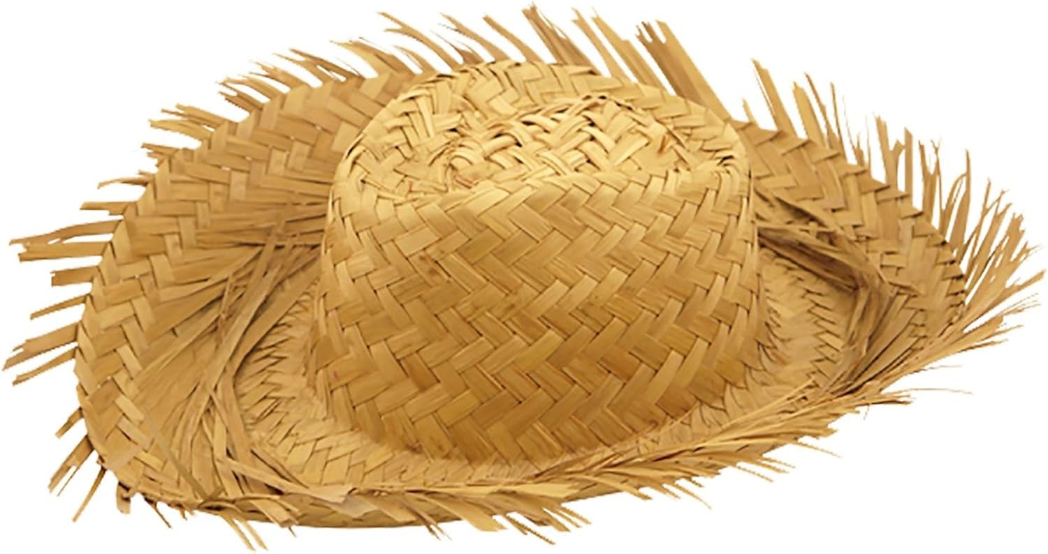 21FASHION Mens Straw Hat Adults Hawaiian Beach Fancy Dress