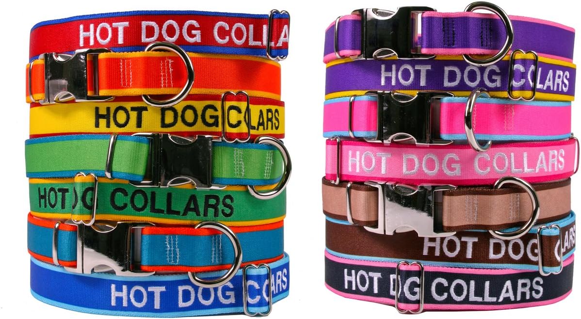embroidered dog collars amazon