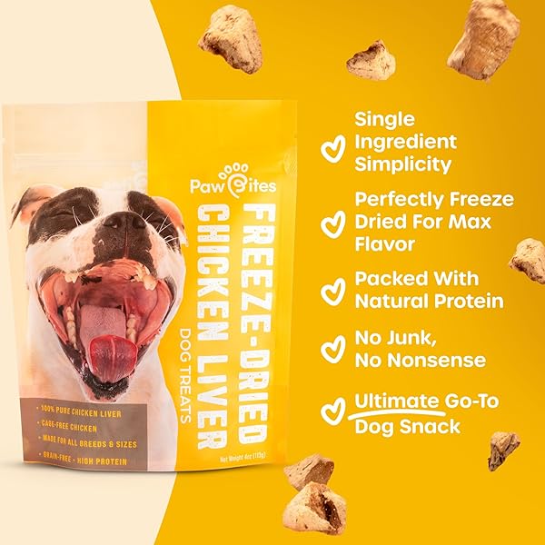 PAW BITES FREEZE DRIED DOG TREATS – CAGE-FREE CHICKEN LIVER – DOG FOOD DRY SNACKS – WITH PROTEIN & OMEGA 3S – FOR ALL BREEDS & SIZES – NO ARTIFICIAL FLAVORS & DYES, NO PRESERVATIVES – 1 POUCH, 4 OZ