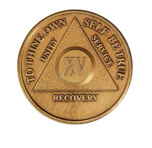 Camel One Day At A Time Bronze AA Medallion - Sobriety Affirmation Coin...