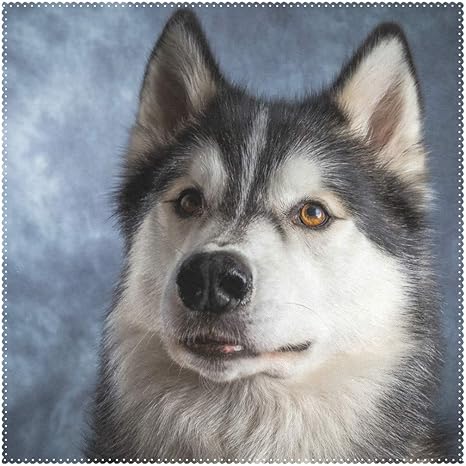 Amazon Co Jp Yateli ランチョンマット アニマル ハスキー犬 かわいい 12x12インチ 耐熱 滑り止め ダイニングキッチン用 12x12x4 In ホーム キッチン
