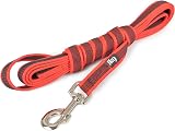 Julius-K9 Color & Gray Super-Grip Leash with Handle 20 mm x 3 m Red-Gray