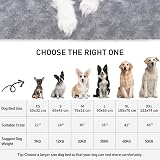 KSIIA Small Dog Bed 60x45x7 cm Calming Plush with Non Skid Bottom view 2