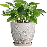MPotTo 6 Inch Ceramic Plant Pot for Indoor Plants Outdoor Round Planter Flower Pot with Drainage Hole and Saucer for Home Garden Office Decor White