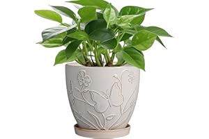MPotTo 6 Inch Ceramic Plant Pot for Indoor Plants Outdoor Round Planter Flower Pot with Drainage Hole and Saucer for Home Garden Office Decor White