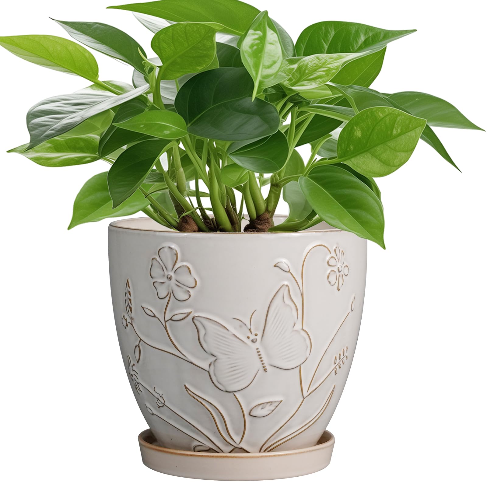 Photo 1 of MPotTo 6 Inch Ceramic Plant Pot for Indoor Plants Outdoor Round Planter Flower Pot with Drainage Hole and Saucer for Home Garden Office Decor White