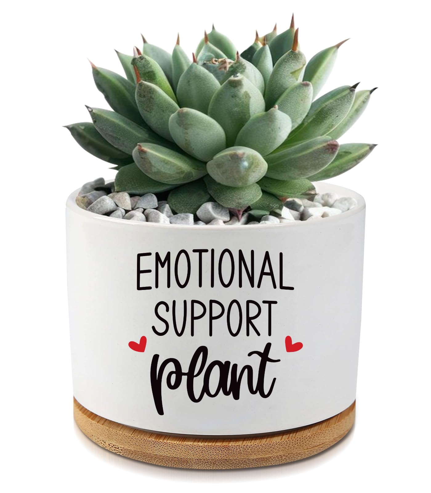 Photo 1 of AKAQCHANG Emotional Support Ceramic Succulent Cactus Planter Pots, 3.5 inch, with Drainage Hole, Funny Planters for Indoor Plants, for Women, Teachers, Moms, Grandmas