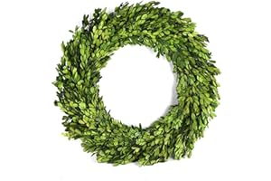 BOXWOOD WORLD Boxwood Wreath 12 inch Preserved Nature Boxwood Wreath Home Decor Stay Fresh for Years for Door Wall Window Party Décor Spring Summer Fresh Green Wreath