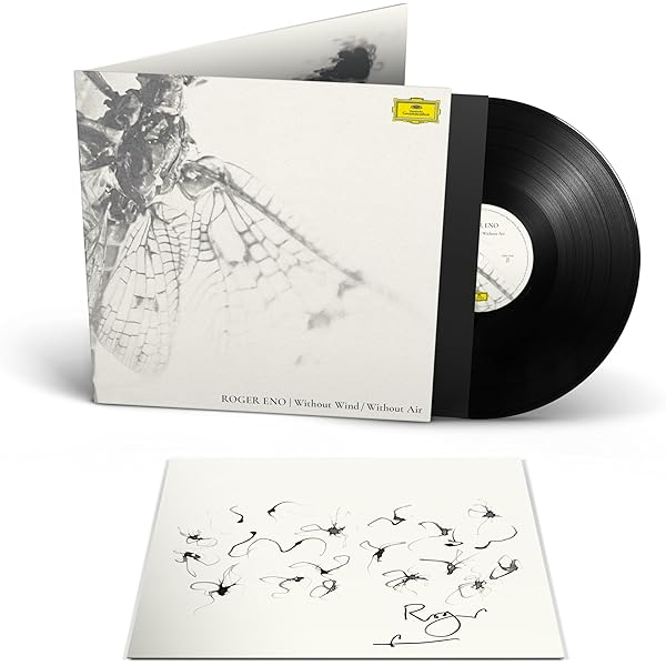 Amazon.com: the skies: rarities[LP]: CDs & Vinyl
