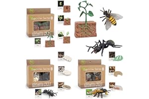 MIKNEKE Montessori Life Cycle Animal Figurines Learning & Education Toys, Plastic Insect Life Cycle Toys for Kids, Preschool Learning Activities for Toddlers (Plant Bee Ant)