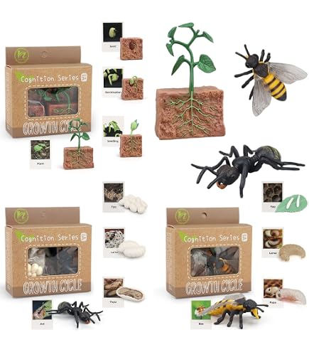 Safari Ltd Life Cycle Of A Worm Youtube