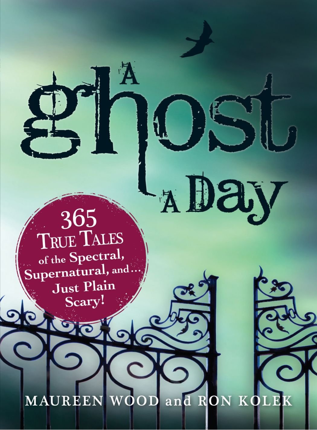 A Ghost A Day: 365 True Tales of the Spectral, Supernatural, and . . . Just Plain Scary!