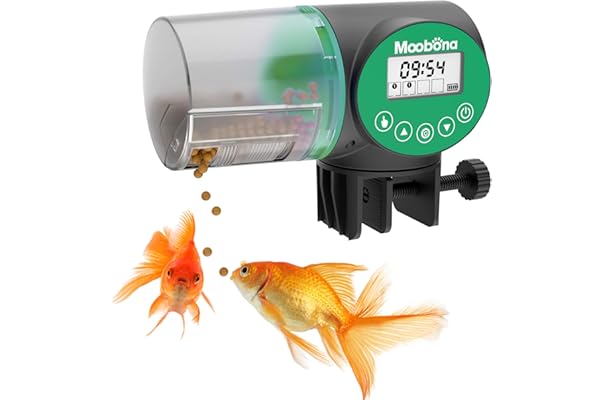 best fish feeder