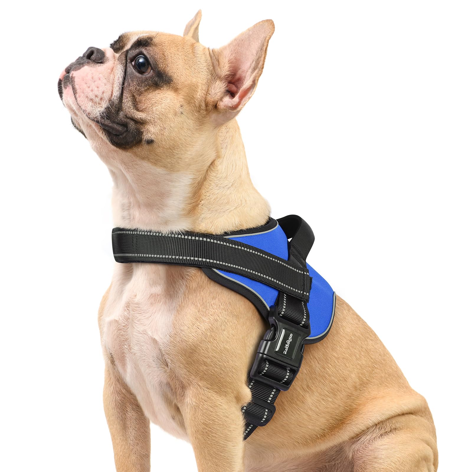rabbitgoo Dog Harness Small Dog, Easy Wearing with One Buckle, No Pull Harness, Adjustable Assistance Service Pet Vest, Breathable Pet Vest with Control Handle for Walking Training, Blue, S
