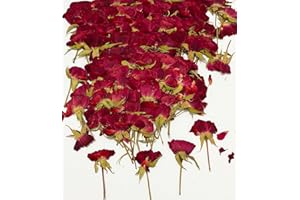 UOKWIWI 12 pcs Red Rose with Stem Real Natural Dried Pressed Flowers for Resin Scrapbooking DIY Candle Decoration Jewelry Crafts