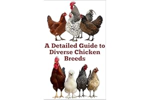 A Detailed Guide to Diverse Chicken Breeds (The Detailed Homestead Flock Series)