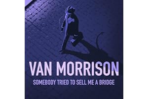 Somebody Tried To Sell Me A Bridge