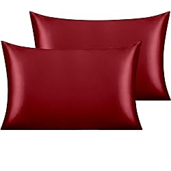 NTBAY 2 Pack Satin Standard Pillowcases for Hair