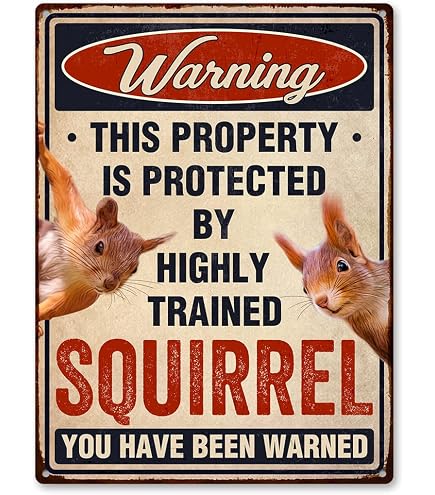 Vintage-Warnschild „This Property Is Protected By A Highly Trained Squirrel“ – 30,5x20,3 Cm, Metall, Für Garten & Haus