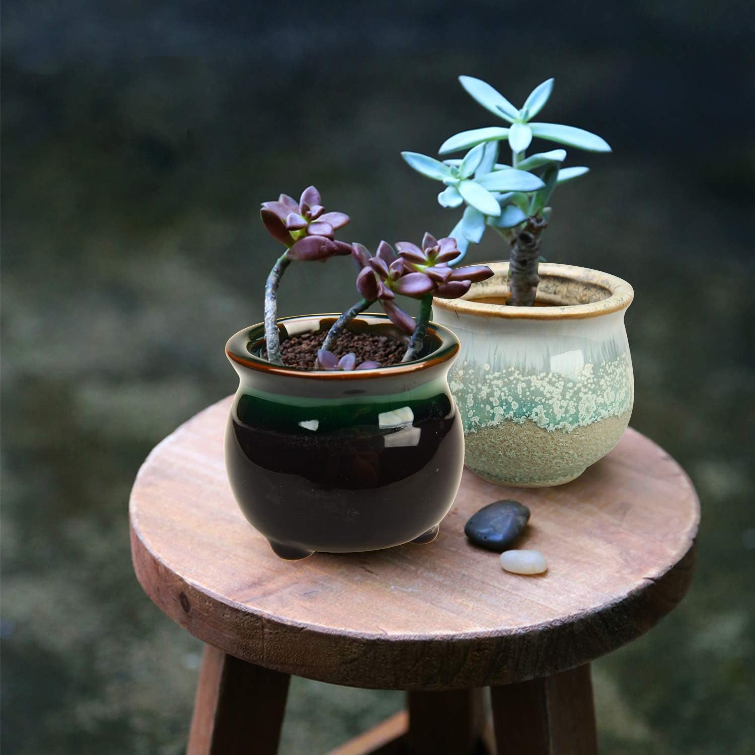Brajttt 2.5 Inch Ceramic Succulent Planter Pot with Drainage, Planting Pot Flower Pots, Small Planter Pots for Mini Plant Ceramic Flowing Glaze Base Serial Set with Holes : Garden & Outdoor