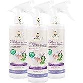 Fuwa3e Pineapple Enzyme Natural All Purpose Cleaner Spray Serene Holy Basil & Peppermint - 16.9oz 3 Pack - Multi Surface Cleaner 99% Plant Based Cleaner from Discarded Pineapple Peels