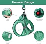 BELLA & PAL Dog Harness and Leash Set XXS Green Step-In Breathable Mesh view 3