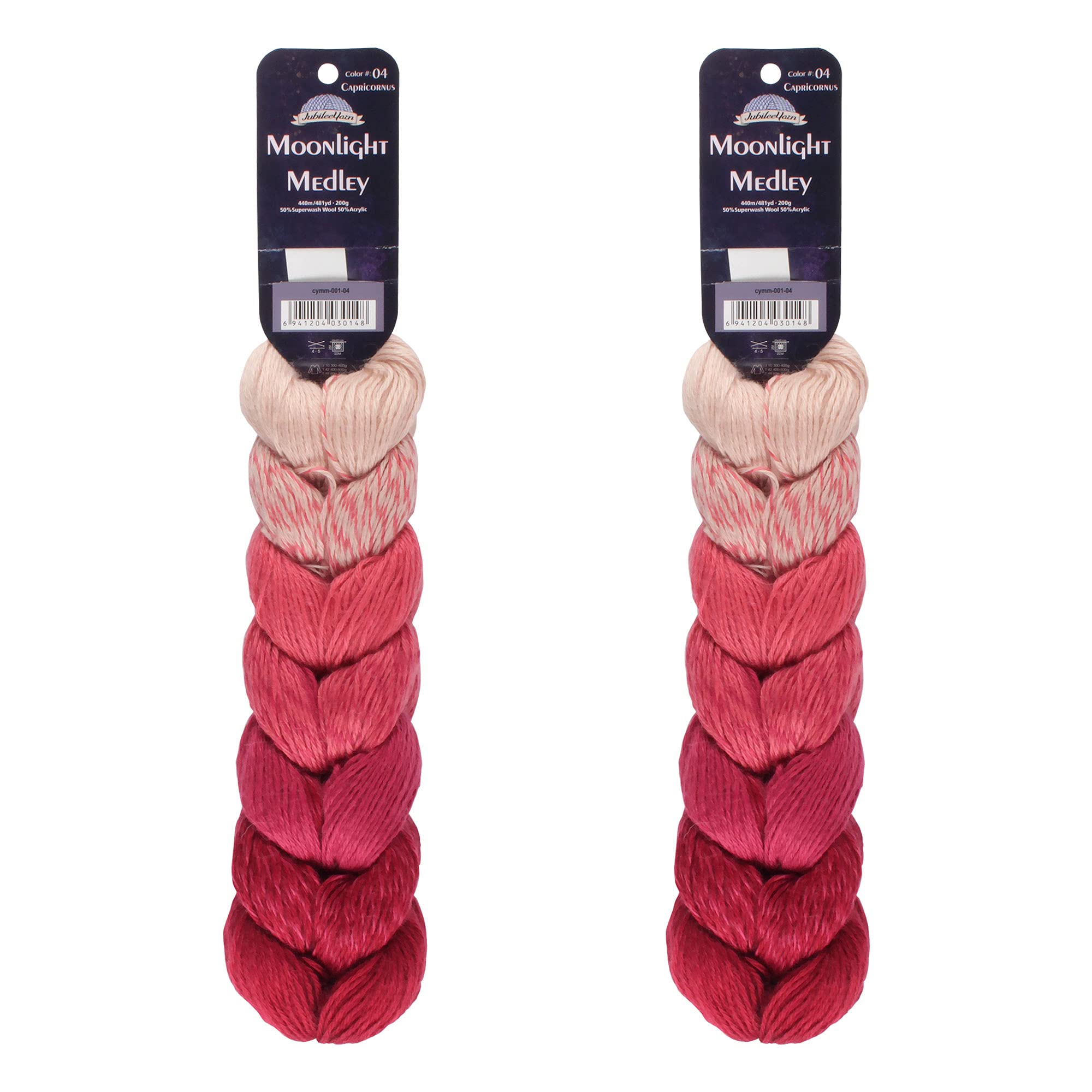 JubileeYarn Moonlight Medley Yarn - Ombre DK Weight Merino Wool/Acrylic - 200g/Hank - Capricornus - 2 Skeins