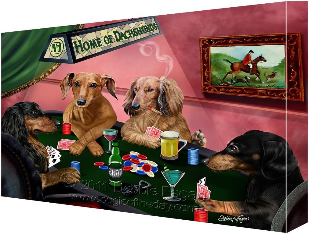 house of dachshunds