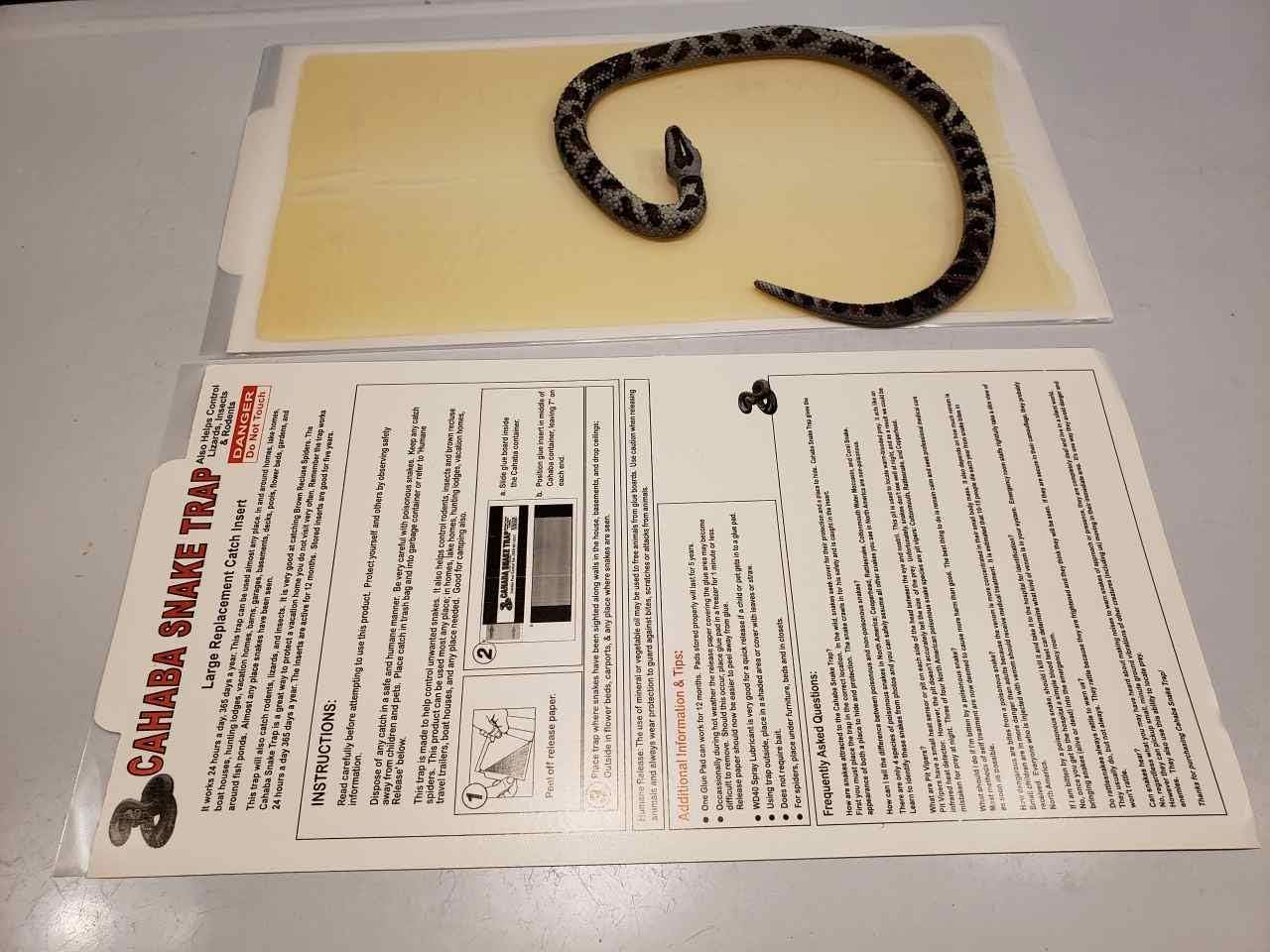 Glue Trap, Cahaba snake Trap ( Replaceable Catch Insert 6 Pack for Large Trap) Commercial Grade, Made in USA