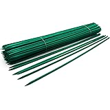 12" Green Wood Plant Stake, Floral Picks, Wooden Sign Posting Garden Sticks (100 Pcs) by Royal Imports