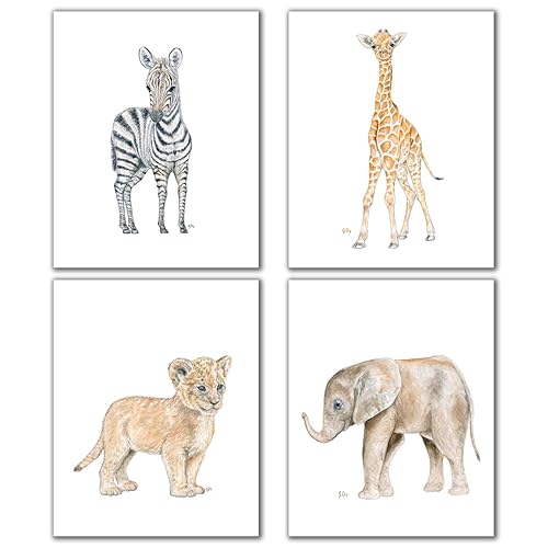 baby animal framed prints