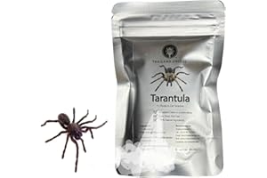 Thailand Unique Dehydrated Tarantula - 1 Piece of Edible Insect for Humans, Nutritious Bugs Superfood Weird Unusual Snack Gift
