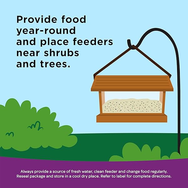KAYTEE NUT & FRUIT WILD BIRD SEED, 5 LB