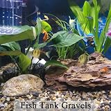 FANTIAN 4 lbs Fish Tank Gravel 4-8 mm Natural Aquarium Pea Gravel view 5
