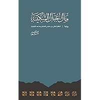 The Currency Of Mount Serenity مال جبال السكينة (Arabic Edition) book cover