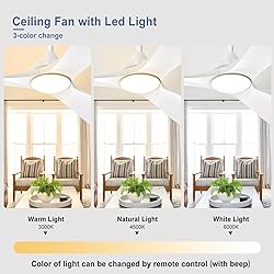 BvenuBigLite White Ceiling Fan with Light: 3 Blades