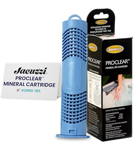 Amazon.com: Jacuzzi 6000-383AJ Filter, 60 Sq Ft, J-300 Series 2002
